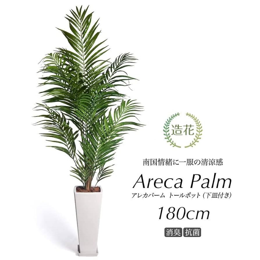 人工観葉植物 約150cm 白い鉢付き 人工観葉植物 約150cm 白い鉢付き - メルカリ